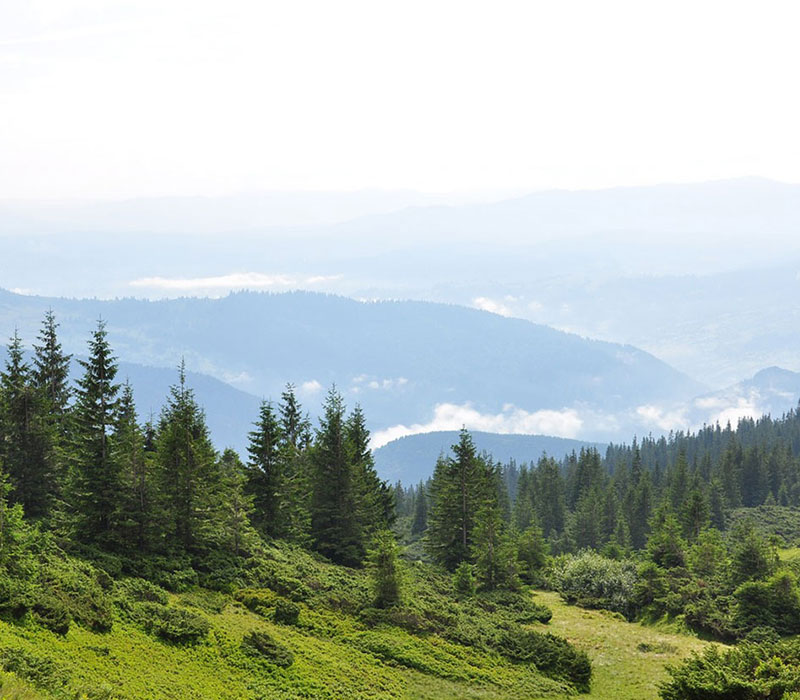 Carpathian mountains