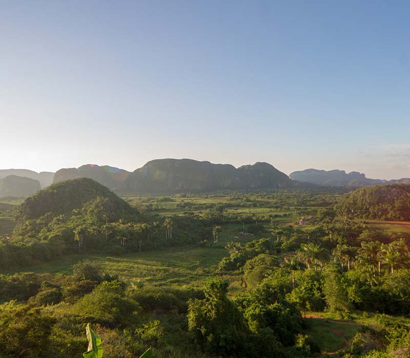 Vinales